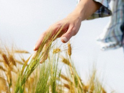 Russia extends grain export ban