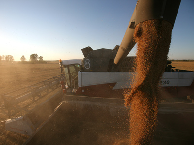 Russia is expected to increase its grain exports in 2012