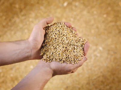 Russia lifts grain export ban
