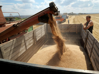 Russia considers grain export curb to keep prices down