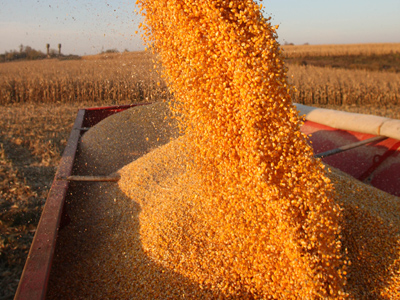 Russia’s grain exports might be tarriffed since April