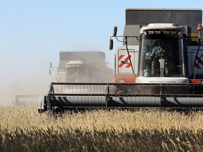 Russia’s grain has its own future(s)