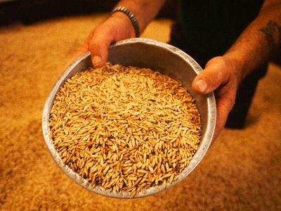 Russia expands grain market intervention