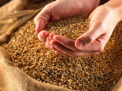 Grain speculation as prices rise prompts intervention comment