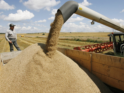Russian authorities open granaries to boost export