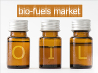 Russia has gleaming bio-fuel prospects: expert