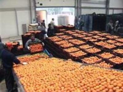 Russia turns its attention to small and medium-sized enterprises