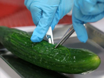 Russia cuts vegetable imports from Europe amid contamination fears