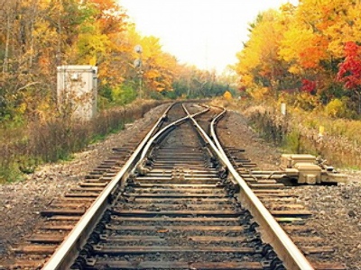 Russian Railways moves into high technology food