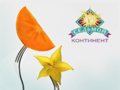 Sedmoi Kontinent posts 1H 2008 Net Income fall of 19%
