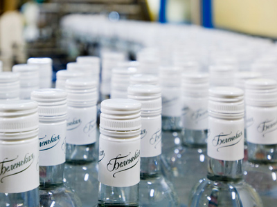 Synergy posts 1H 2011 net income of 976 million roubles, as spirits rise