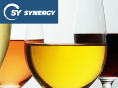 Synergy posts 1H 2009 Net Profit of 512 million Roubles