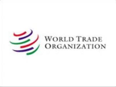 Talks on Russia's accession to WTO continue in Geneva
