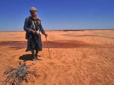 Tour operators in Russia won’t bear huge losses from the Tunisian crisis
