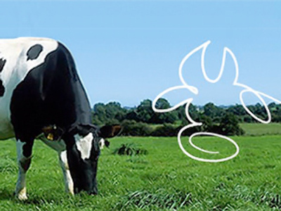 Unimilk posts FY 2009 net loss of 195 million roubles