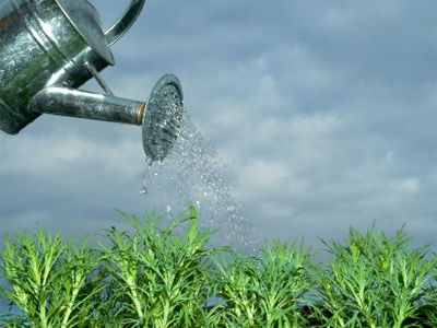 UralChem posts 1Q 2011 net profit of $161 million