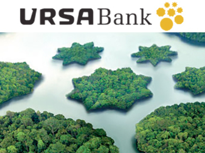 Ursa Bank posts FY 2008 Net Income of 1.59 billion Roubles