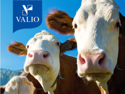 Valio sniffs the cheese with new Moscow plant