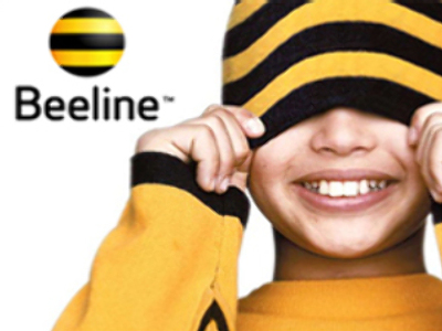 Vimpelcom sets sights on Vietnamese mobile market