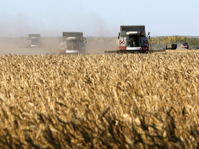 Russian wheat price reaches historic highs