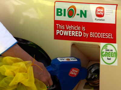 World must rethink biofuel policies to avoid food crises: U.N.