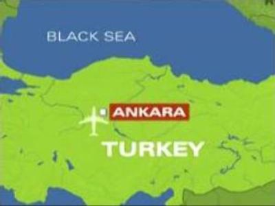 Airplane hijacker detained by Turkish authorities