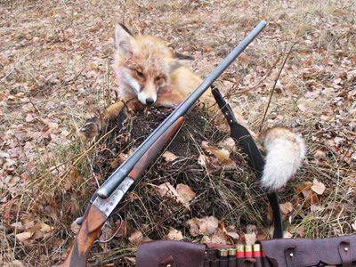 Outfoxed in Belarus - hunter shot by quarry