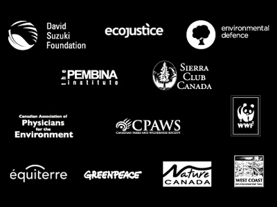 'Black Out, Speak Out': Canadian internet campaign targets 'undemocratic' bill