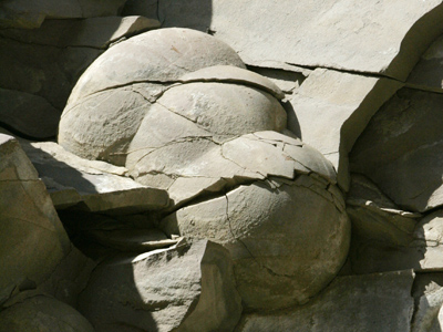 Chechens vow ‘dino-egg’ hunt after finding is stoned (PHOTOS)