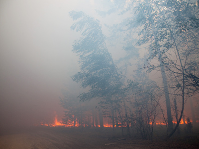 $20 mln cigarette starts forest fire