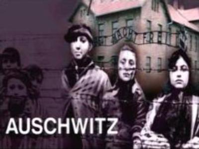 Controversy remains over Auschwitz Museum exhibition