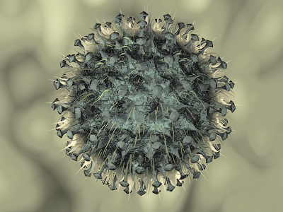 Killer flu creators lash out at US ‘censorship’
