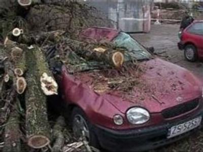 Deadly storm moves east