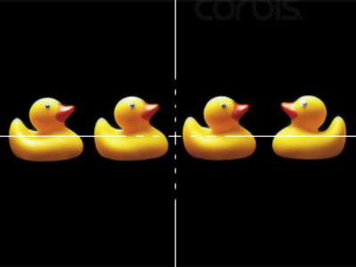 Decoy ducks provoke shootout