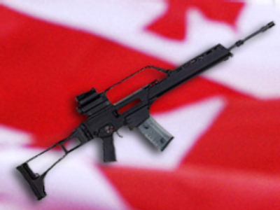 Did Georgian troops fight with smuggled German guns?