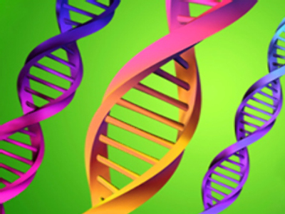 Duma says DNA database would help police