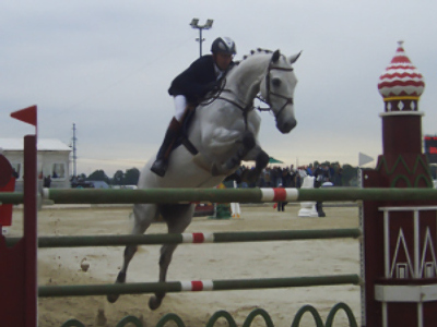 Estonian show jumper best at Moscow Region Governor's Cup