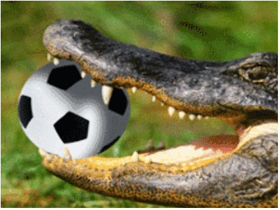 Footballer falls victim to crocodiles