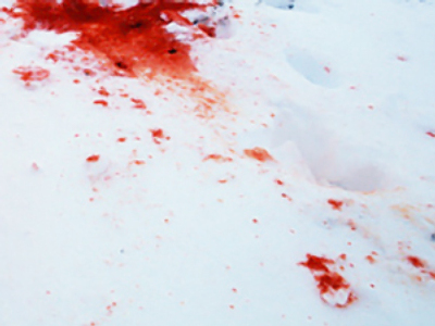 Four perish in Samara road accident