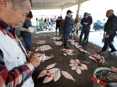 Fukushima fish contamination raises fears of ongoing radiation leak