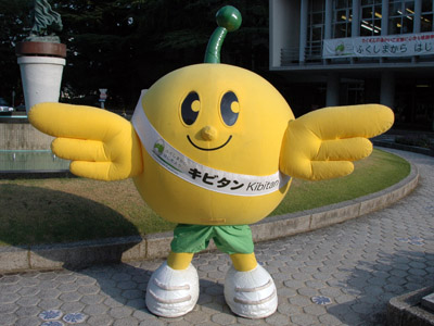 Mascot bird teaching Fukushima children how to avoid radiation