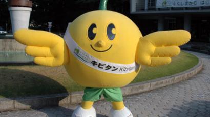 This handout picture taken by Fukushima prefectural government on September 12, 2012 and received on November 9 shows a grinning bird mascot "Kibitan" in Fukushima, northern Japan. (AFP Photo/Fukushima Government)