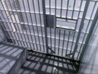 Georgia sets U.S. citizen free