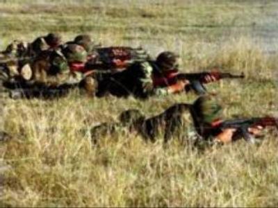Georgia’s reservists to be called for training every year
