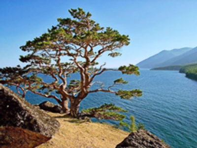 Global warming threatens Lake Baikal