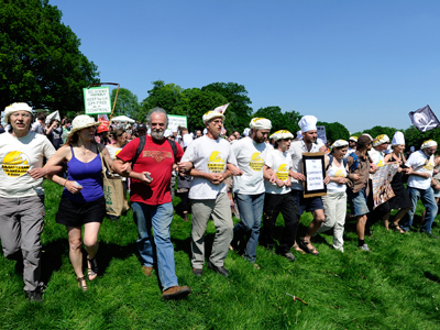 GM crop grant planted in UK: Britons wary
