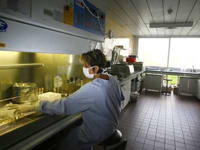 SARS II? Public health officials on alert after new virus detected