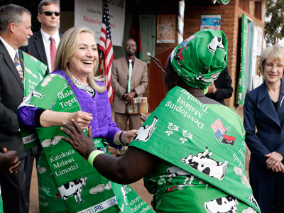 Swarm of bees tells Hillary Clinton to 'buzz off'