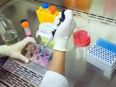Hopes for medical breakthroughs in stem cell research dashed