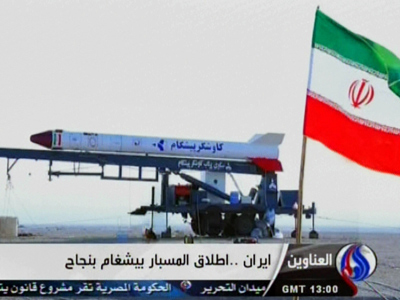 Apestronaut: Iran 'successfully sends' monkey into space